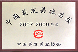 平台榮譽11