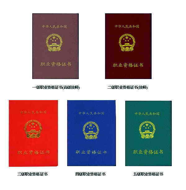 环球体育网站app師环球体育网站下载師等級證樣本